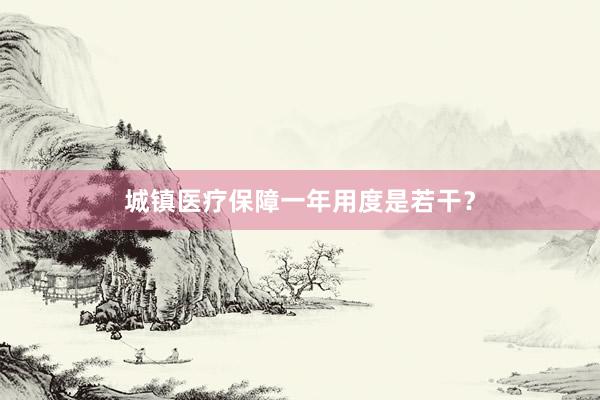城镇医疗保障一年用度是若干？