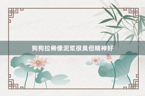 狗狗拉稀像泥浆很臭但精神好